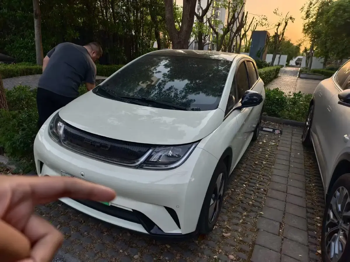 2023 BYD Dolphin BEV 44.928KWH