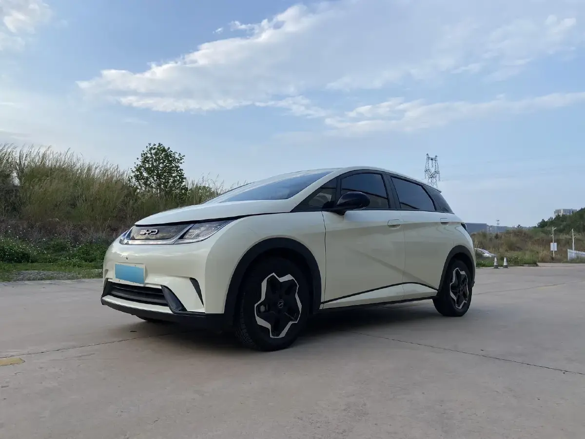 2021 BYD Dolphin BEV 44.9KWH