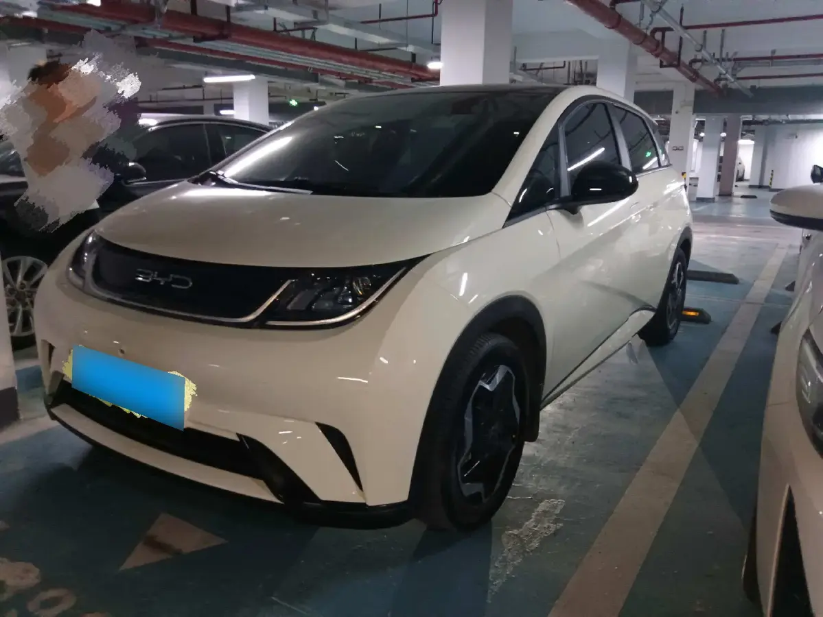 2021 BYD Dolphin BEV 44.9KWH