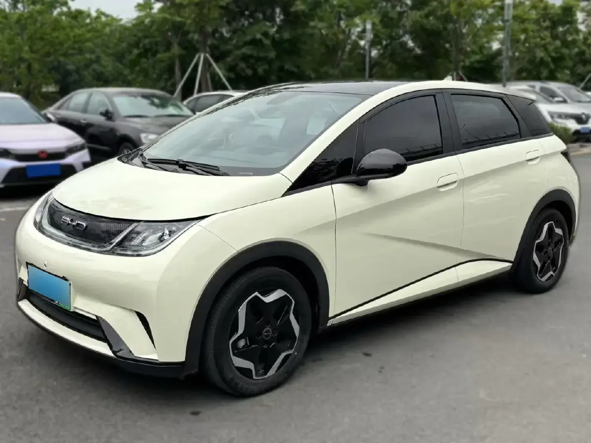 2021 BYD Dolphin BEV 44.9KWH