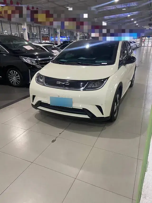 2023 BYD Dolphin BEV 44.928KWH