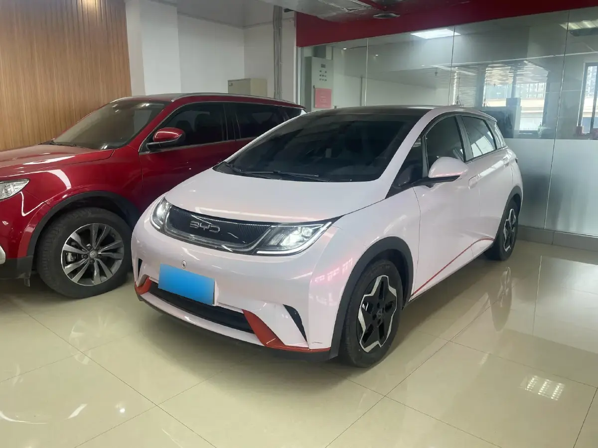 2021 BYD Dolphin BEV 44.9KWH