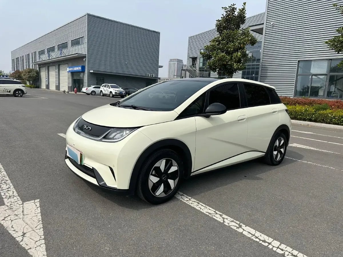 2024 BYD Dolphin BEV 44.928KWH