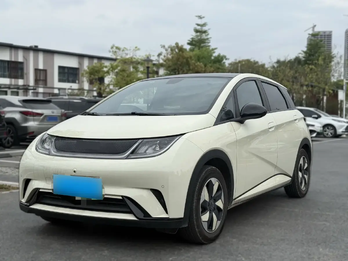 2024 BYD Dolphin BEV 44.928KWH