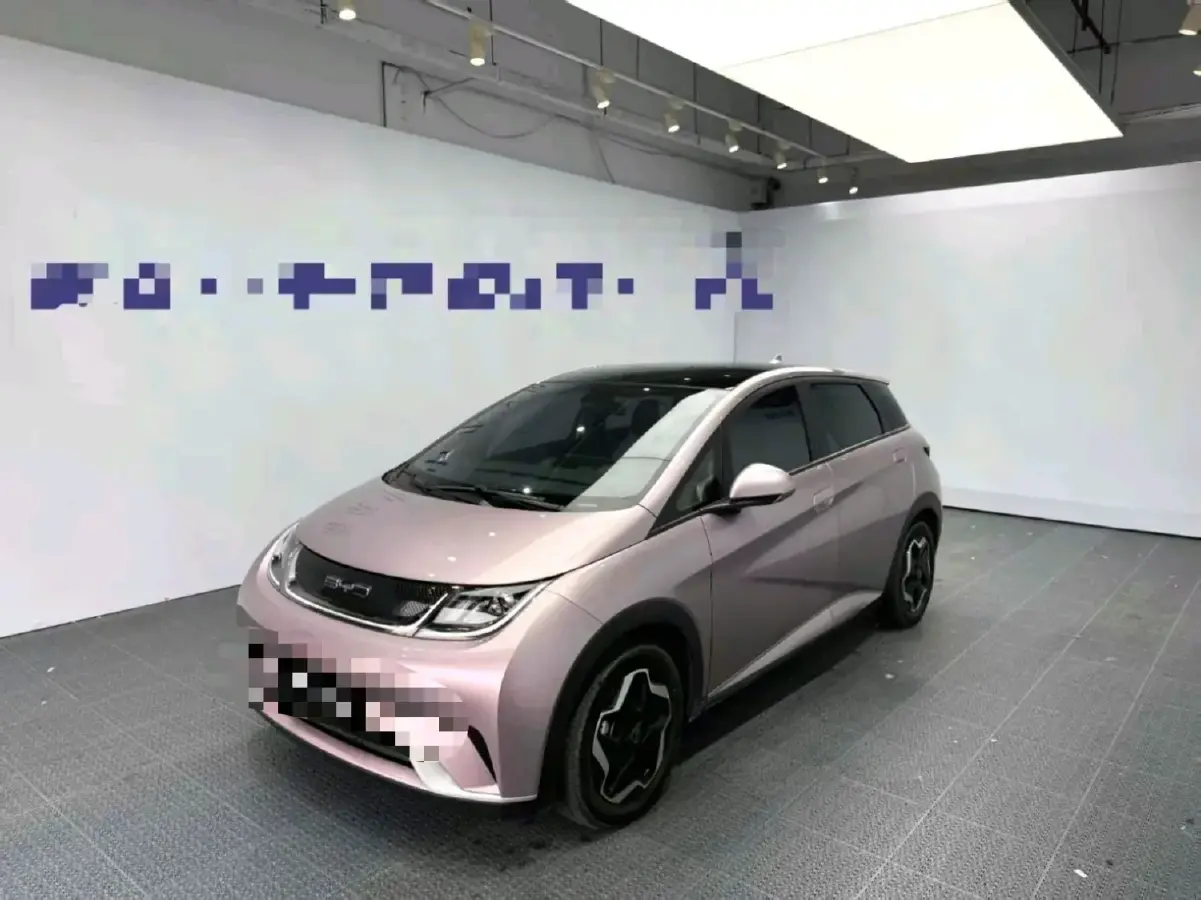 2021 BYD Dolphin BEV 44.9KWH
