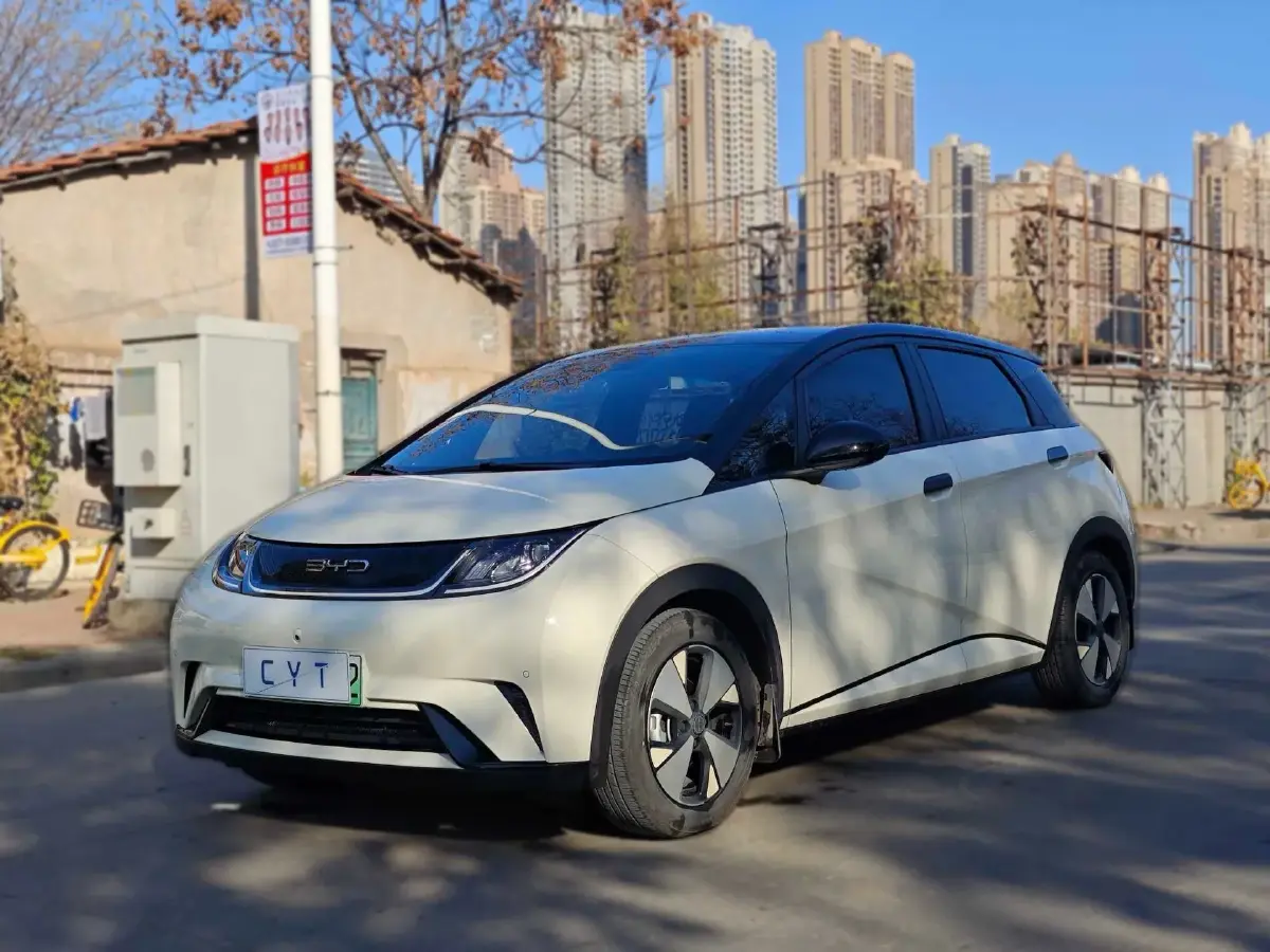 2024 BYD Dolphin BEV 44.928KWH