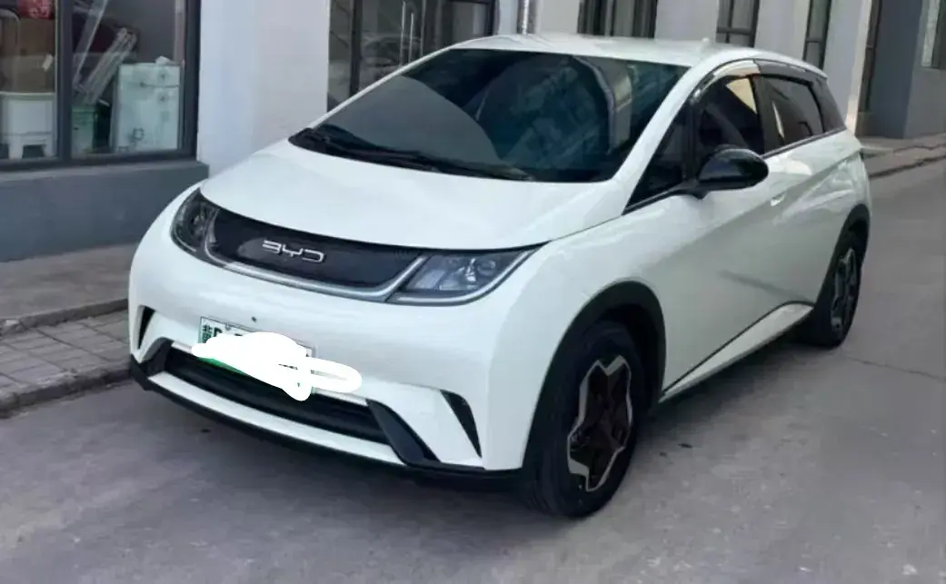 2021 BYD Dolphin BEV 44.9KWH