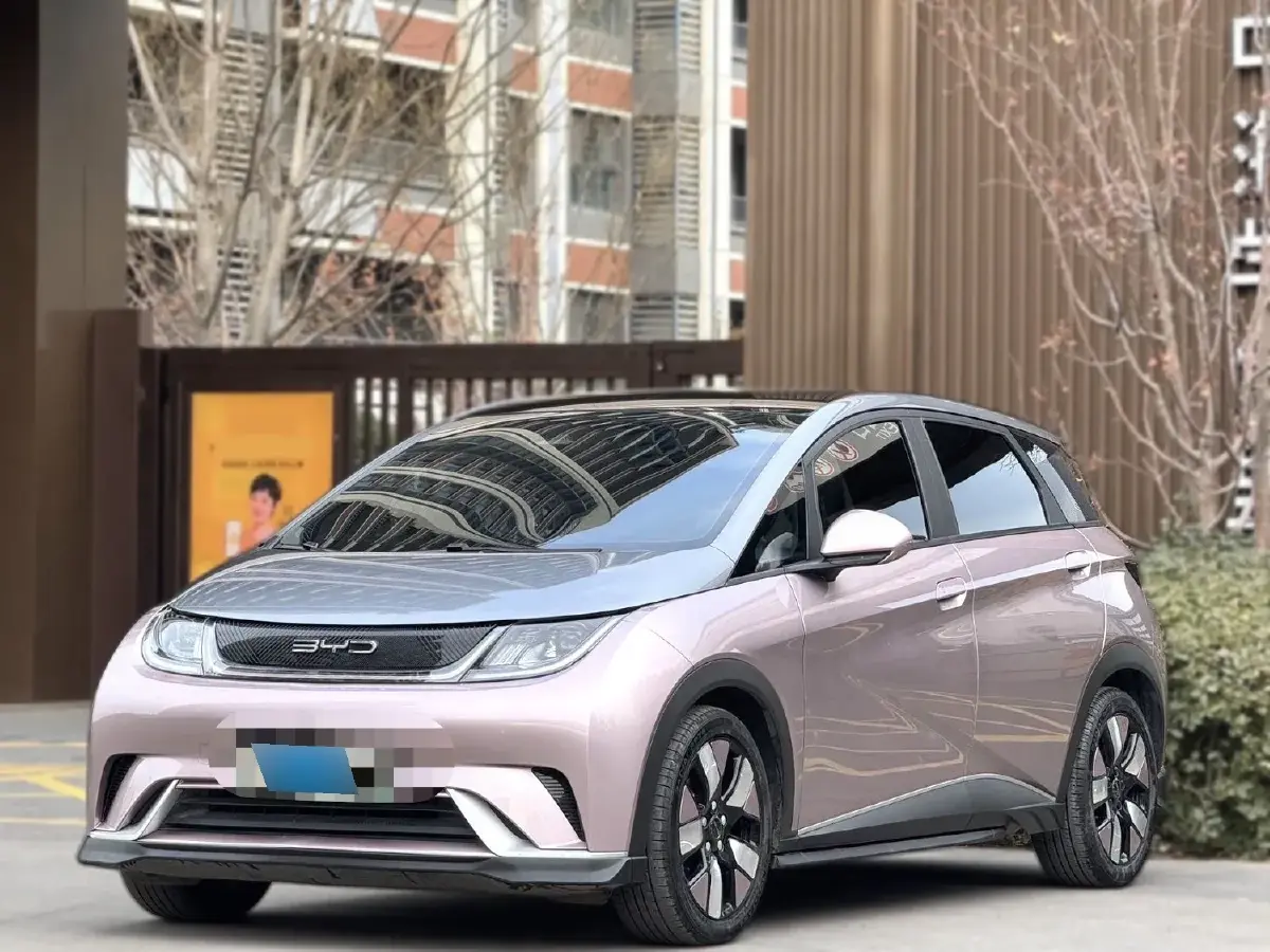 2021 BYD Dolphin BEV 44.9KWH