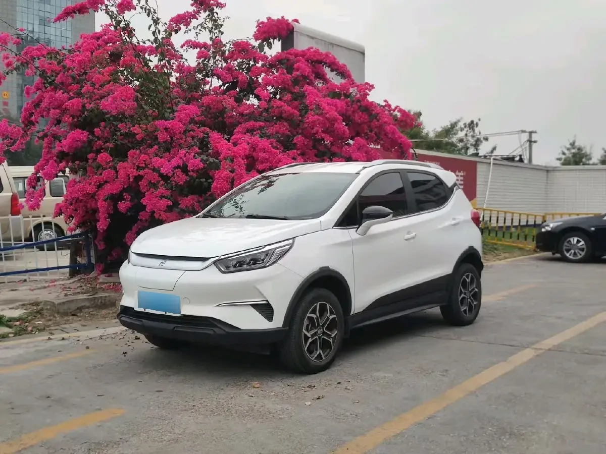 2021 BYD Yuan Pro BEV 50.1KWH