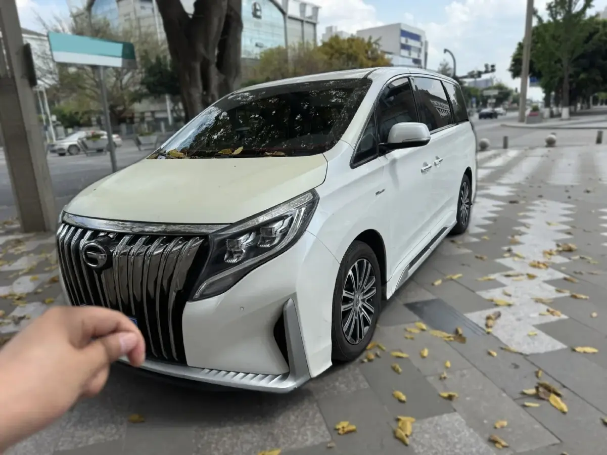 2021 GAC Trumpchi M8 2.0T 252HP L4 8AT