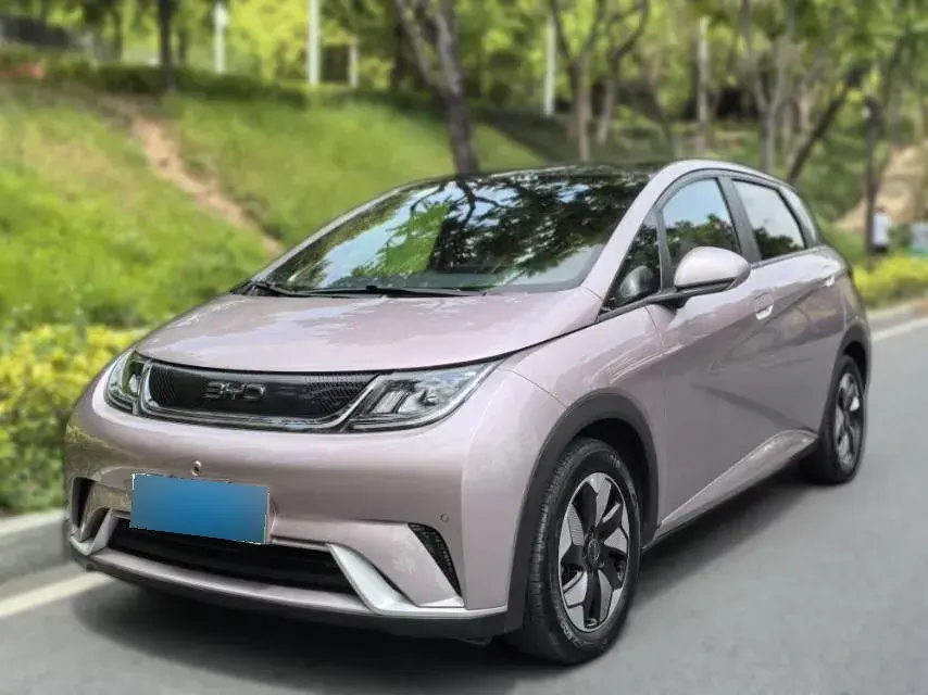 2024 BYD Dolphin BEV 44.928KWH