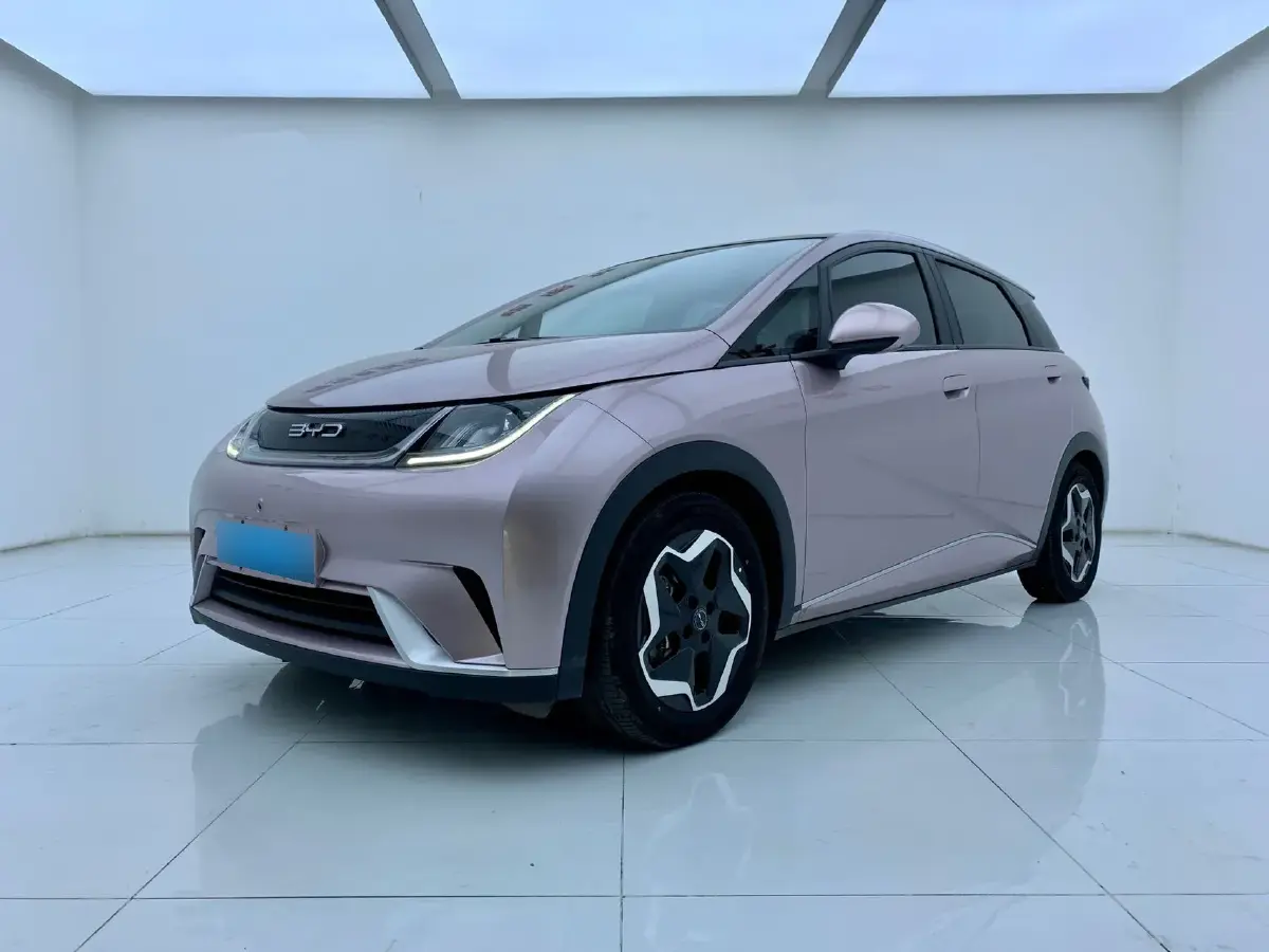 2021 BYD Dolphin BEV 44.9KWH