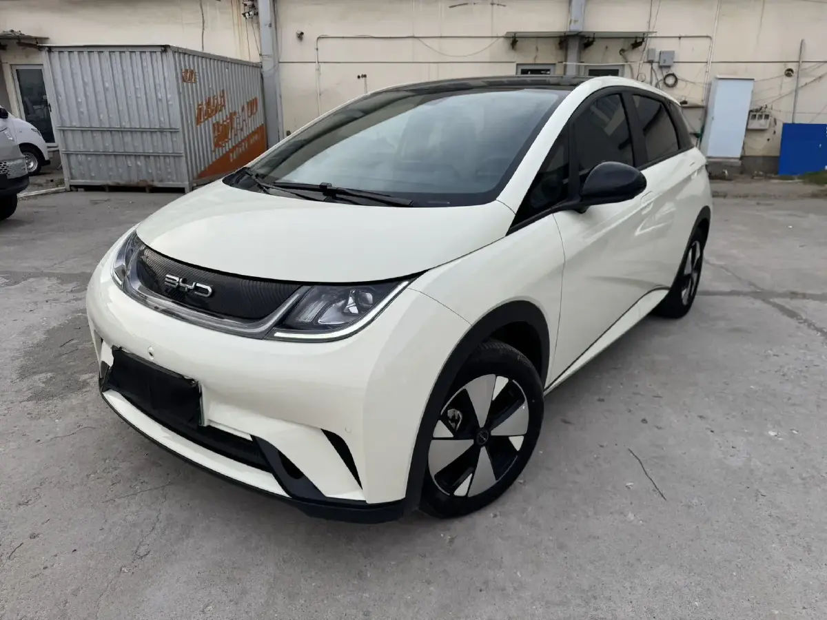 2023 BYD Dolphin BEV 44.928KWH