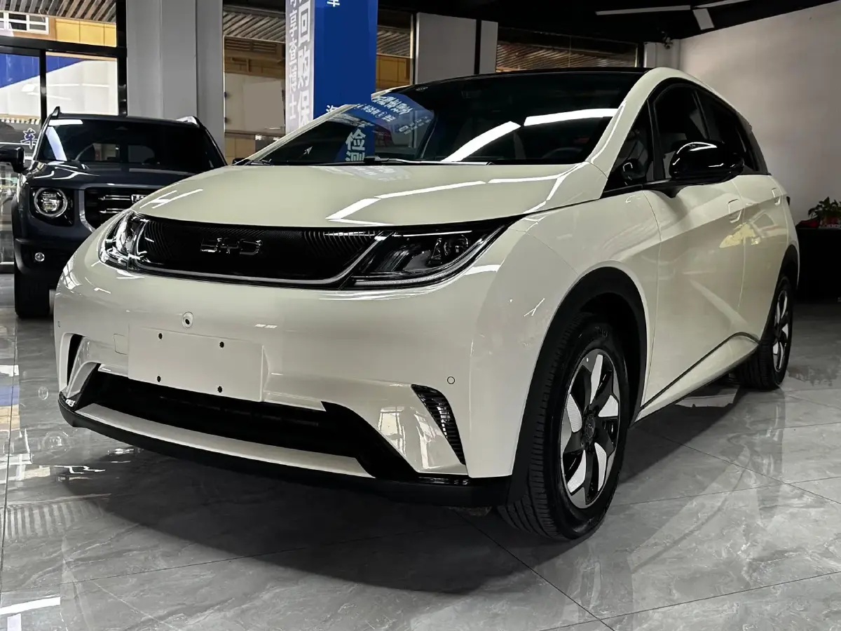2024 BYD Dolphin BEV 44.928KWH