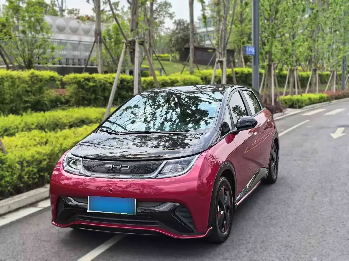 2023 BYD Dolphin BEV 44.928KWH