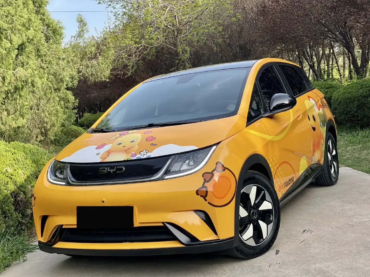 2024 BYD Dolphin BEV 44.928KWH