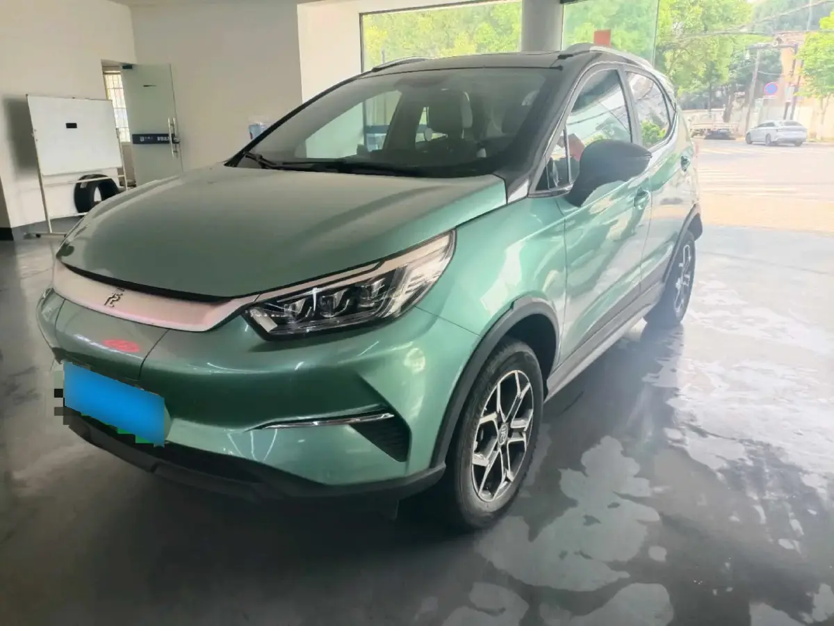 2021 BYD Yuan Pro BEV 50.1KWH