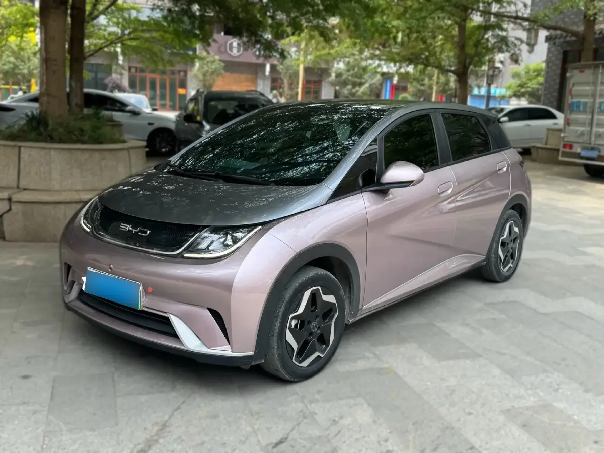 2021 BYD Dolphin BEV 44.9KWH