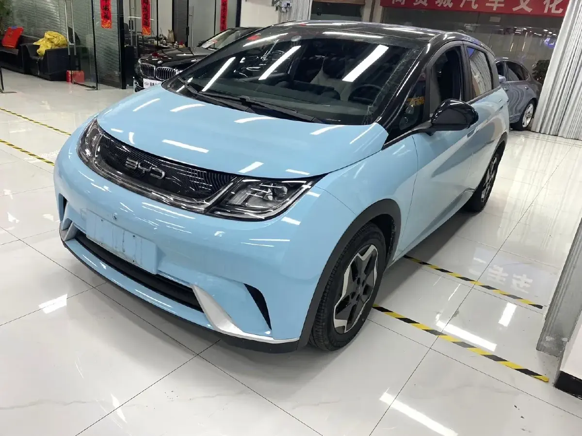 2021 BYD Dolphin BEV 44.9KWH