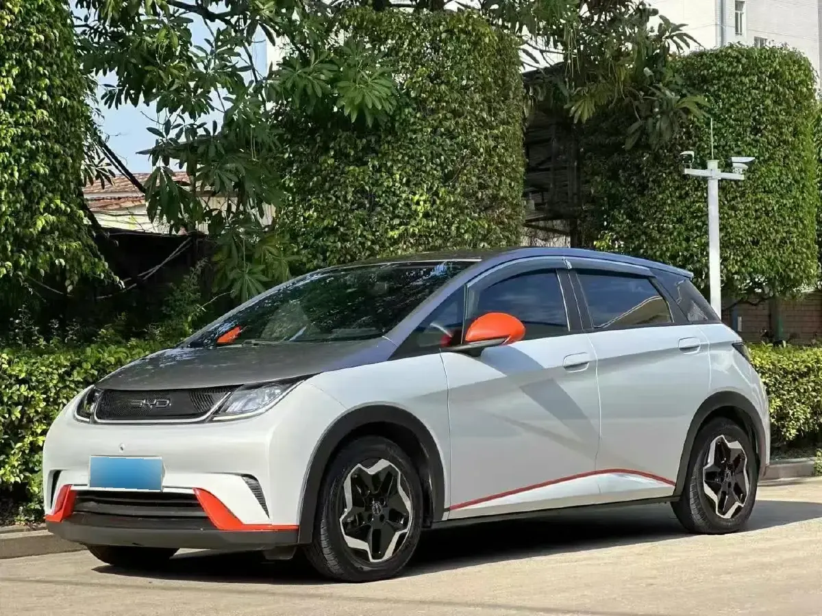 2021 BYD Dolphin BEV 44.9KWH