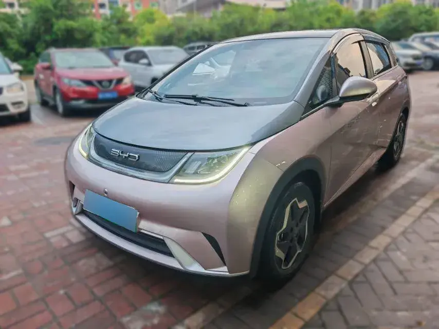 2021 BYD Dolphin BEV 44.9KWH