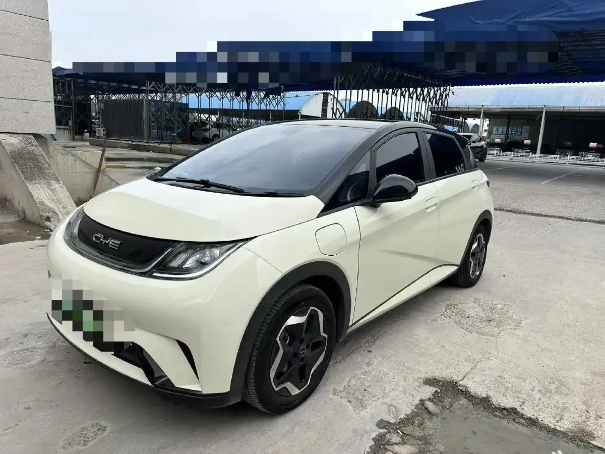 2021 BYD Dolphin BEV 44.9KWH