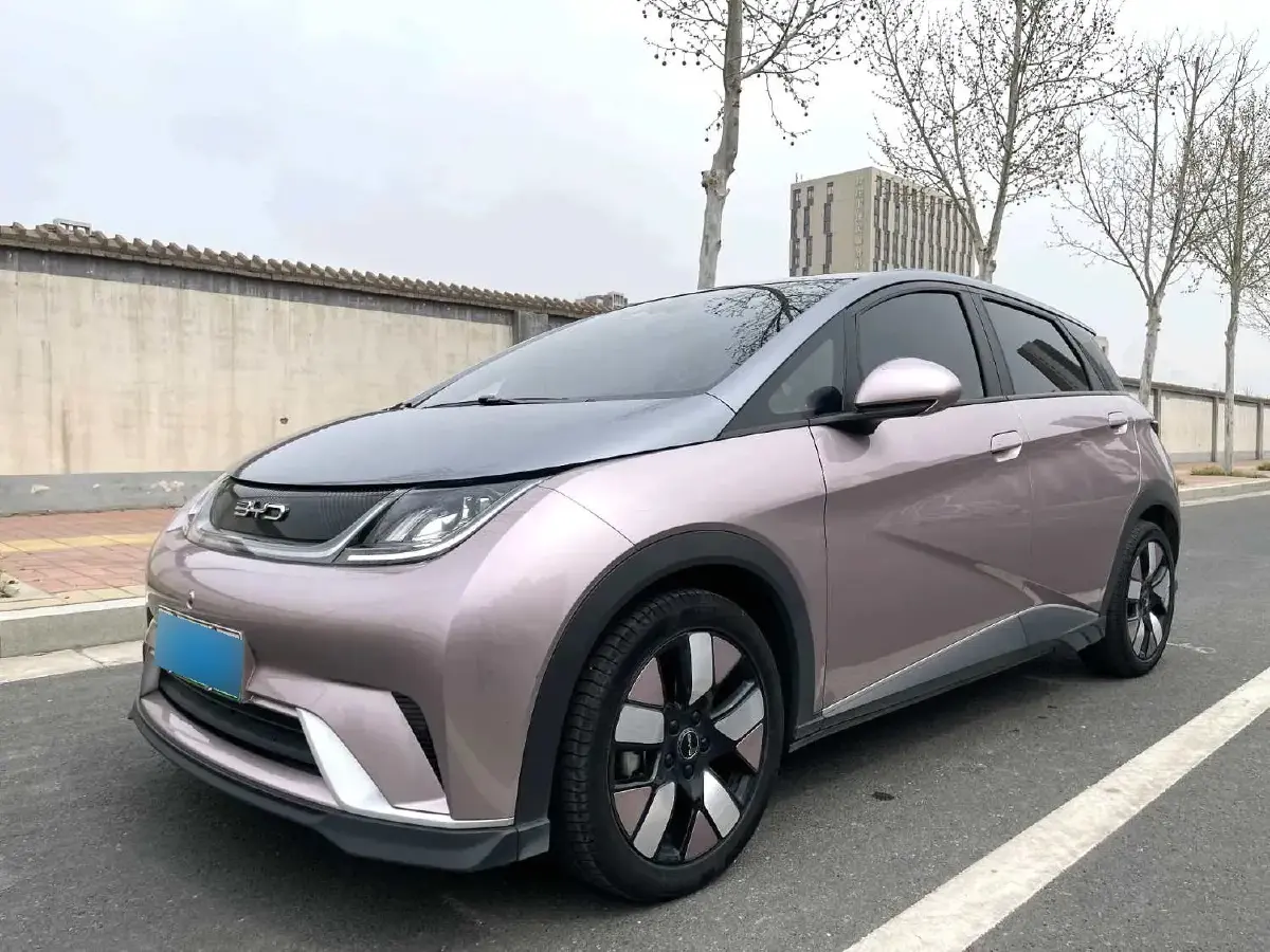 2023 BYD Dolphin BEV 44.928KWH