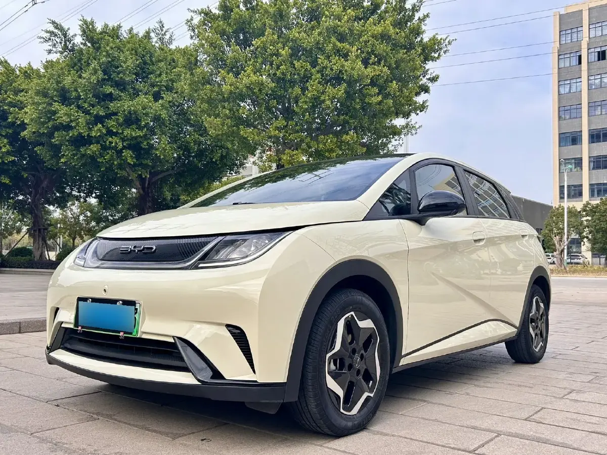 2021 BYD Dolphin BEV 44.9KWH