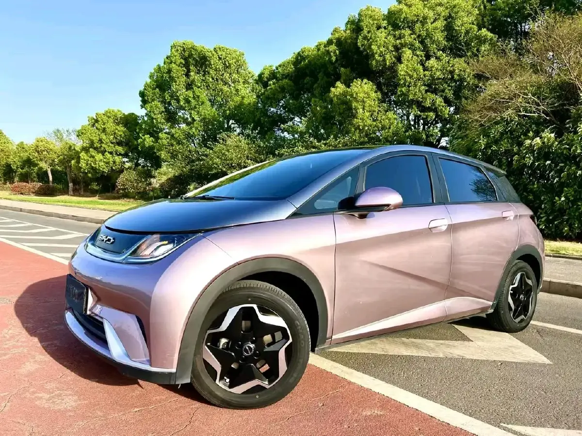 2021 BYD Dolphin BEV 44.9KWH