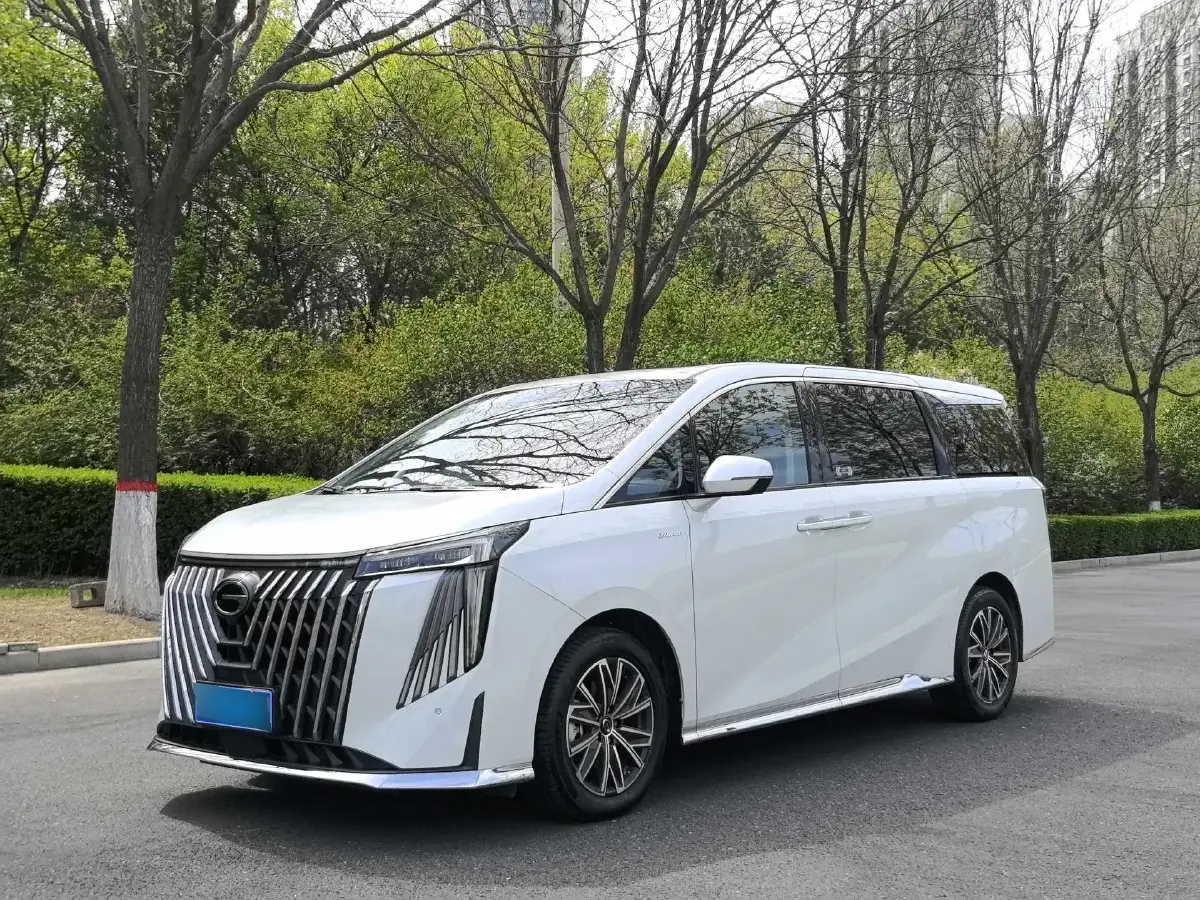 2024 GAC Trumpchi M8 2.0T 252HP L4 8AT