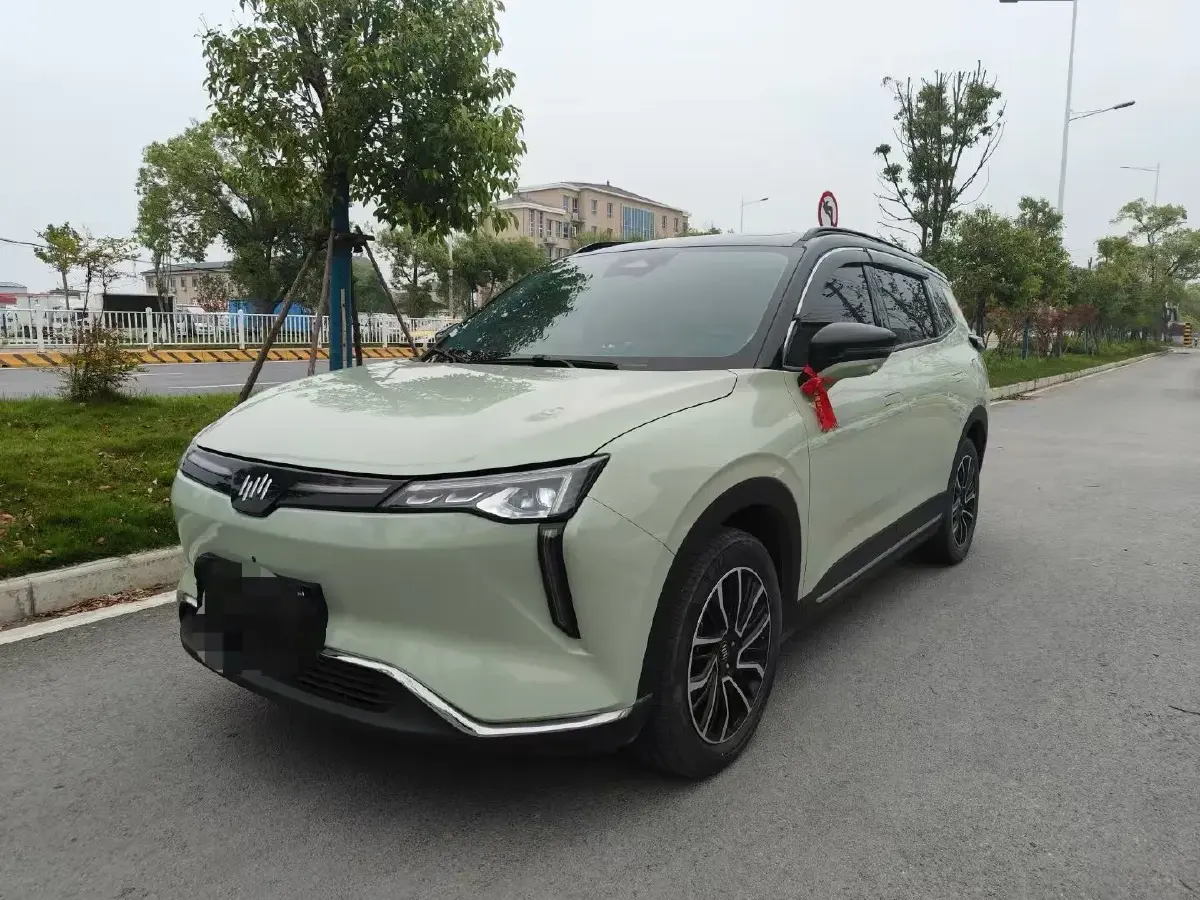 2021 Weltmeister W6 BEV 66.231KWH