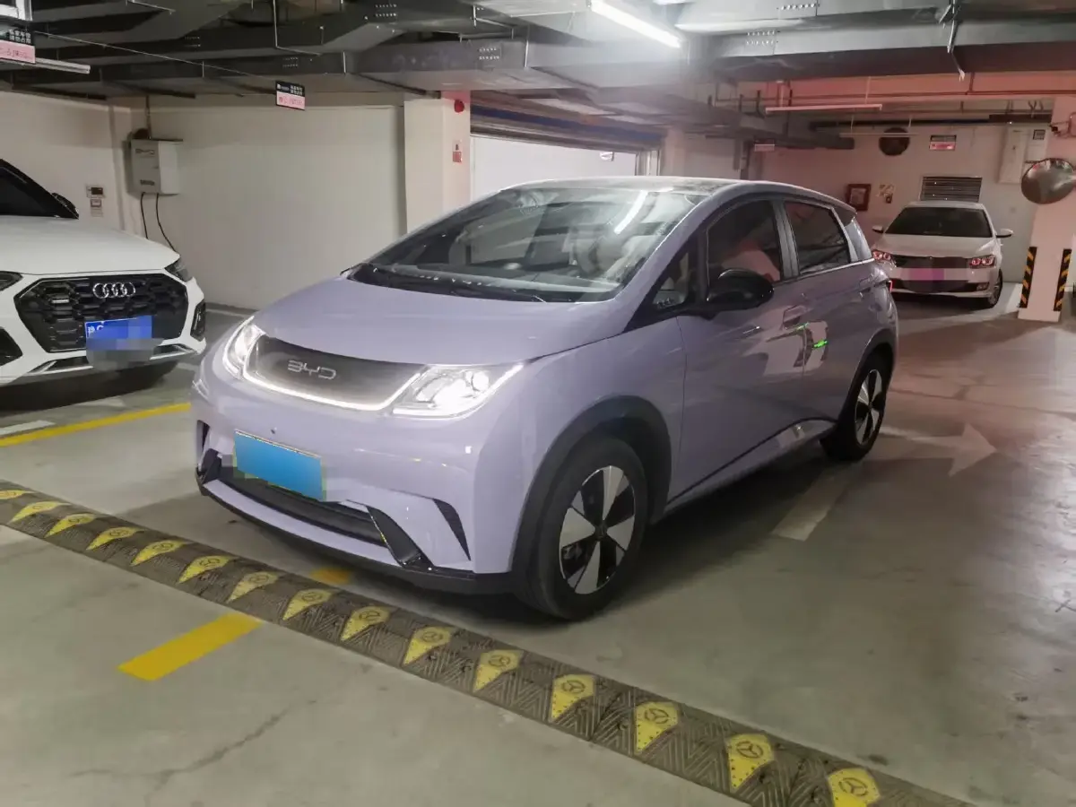 2023 BYD Dolphin BEV 44.928KWH
