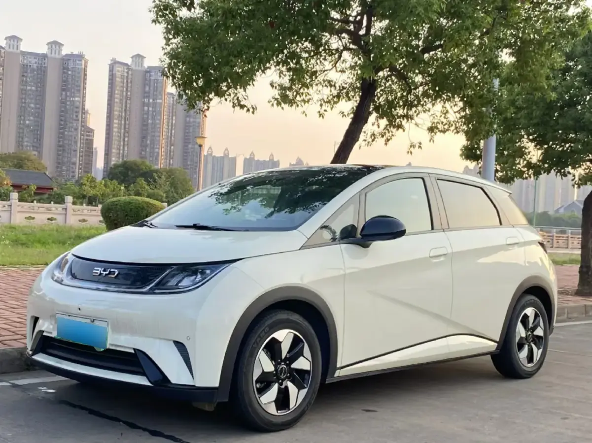 2024 BYD Dolphin BEV 44.928KWH