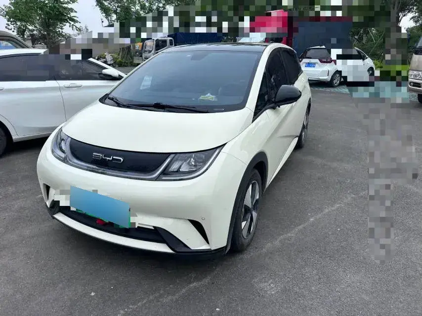2023 BYD Dolphin BEV 44.928KWH