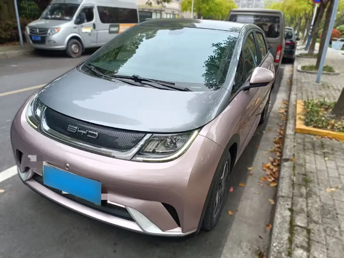 2021 BYD Dolphin BEV 44.9KWH