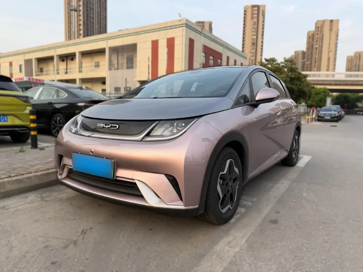 2021 BYD Dolphin BEV 44.9KWH