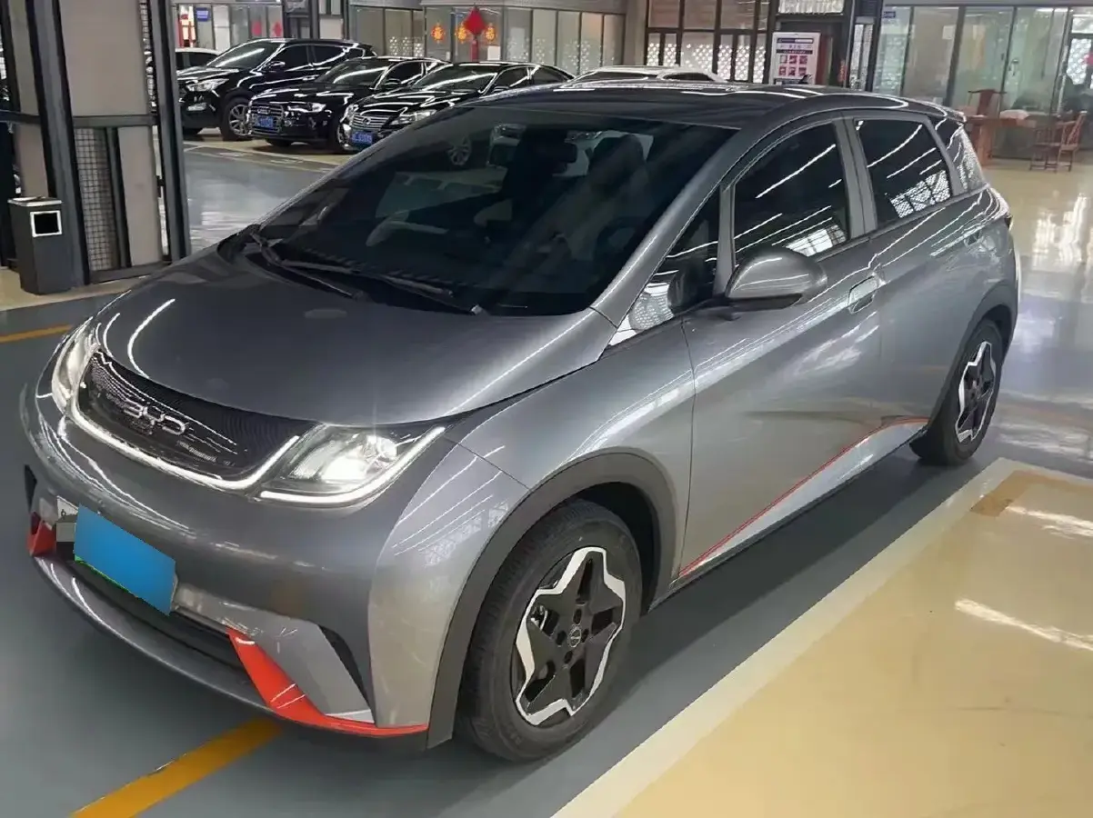 2021 BYD Dolphin BEV 44.9KWH