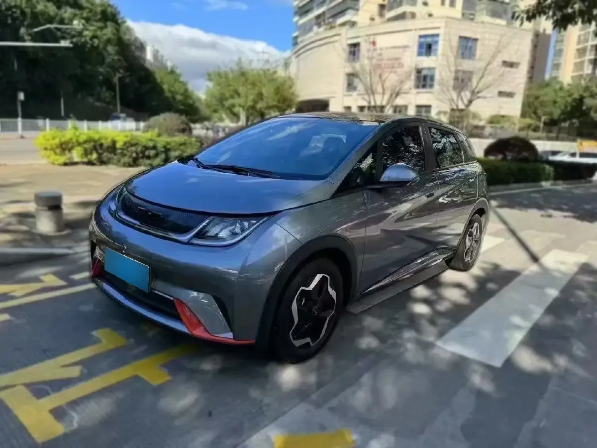 2021 BYD Dolphin BEV 44.9KWH