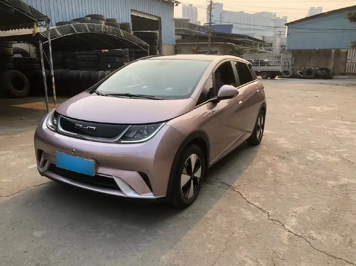2023 BYD Dolphin BEV 44.928KWH