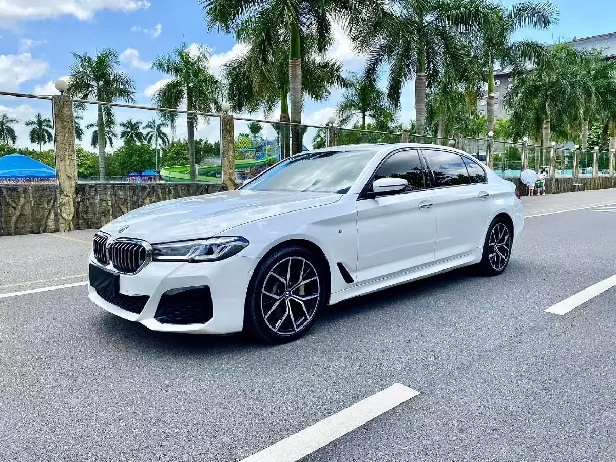 2018 BMW 5 Series 2.0T 252HP L4 8AT