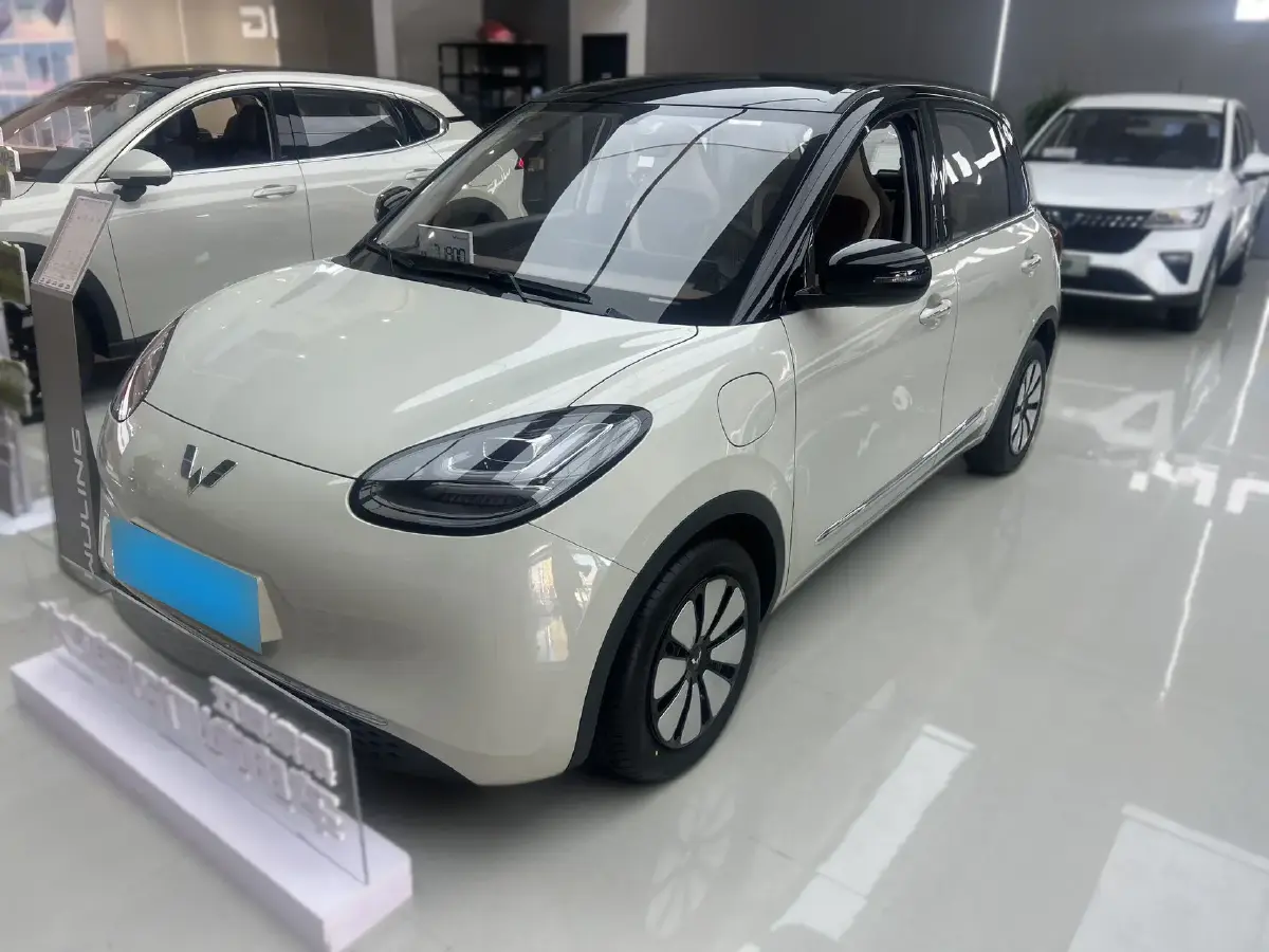 2024 WuLing BinGuo BEV 31.9KWH