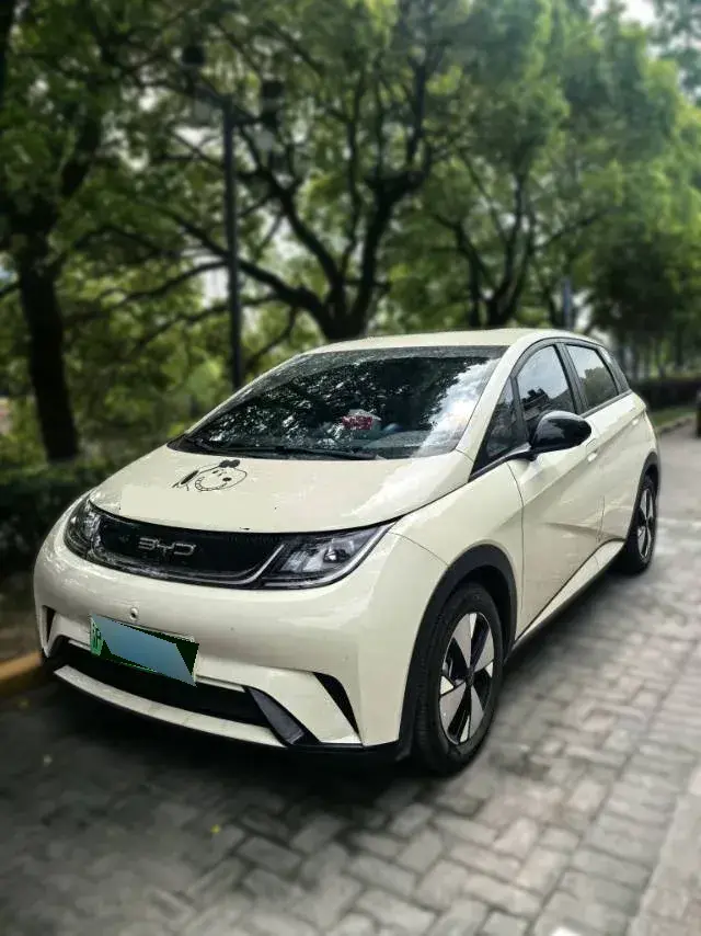 2023 BYD Dolphin BEV 44.928KWH
