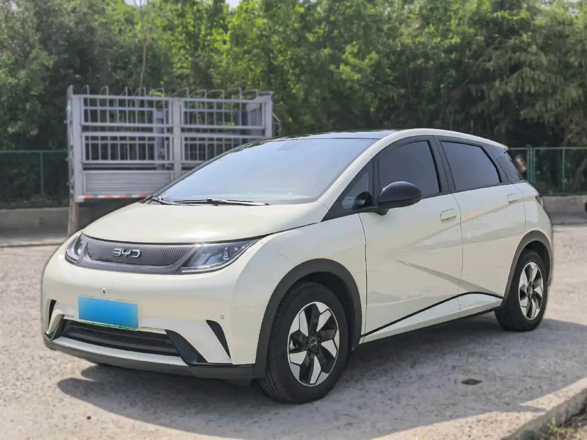 2024 BYD Dolphin BEV 44.928KWH