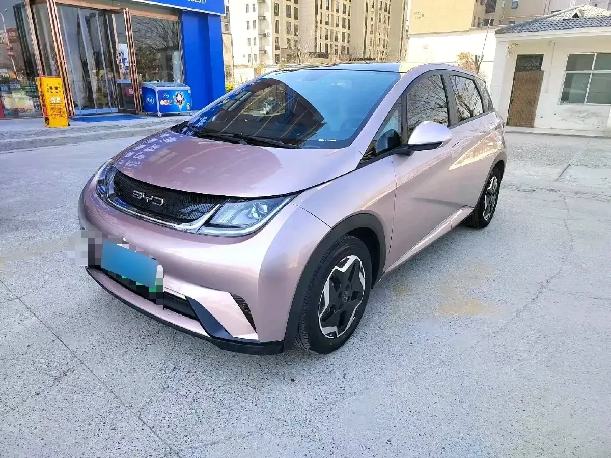 2021 BYD Dolphin BEV 44.9KWH