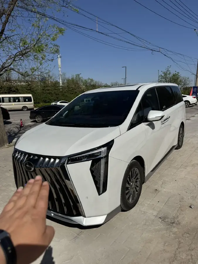 2023 GAC Trumpchi M8 2.0T 252HP L4 8AT