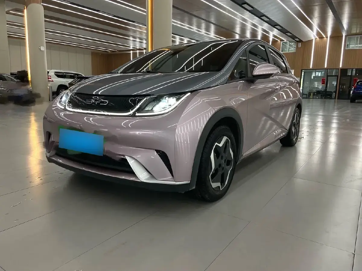 2021 BYD Dolphin BEV 44.9KWH