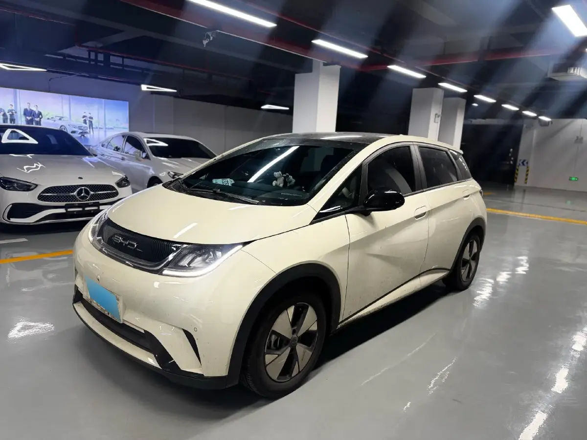 2023 BYD Dolphin BEV 44.928KWH
