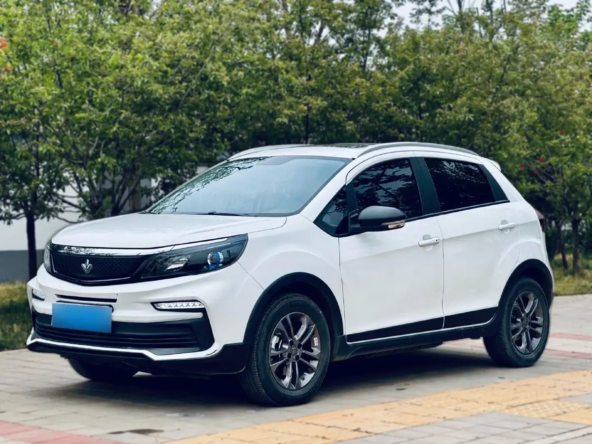 2020 Livan Maple 30X BEV 37KWH