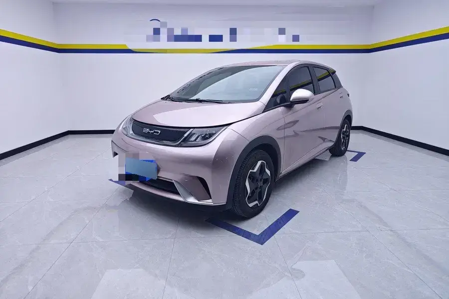 2021 BYD Dolphin BEV 44.9KWH