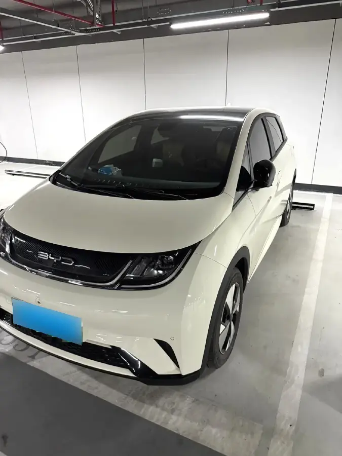 2023 BYD Dolphin BEV 44.928KWH